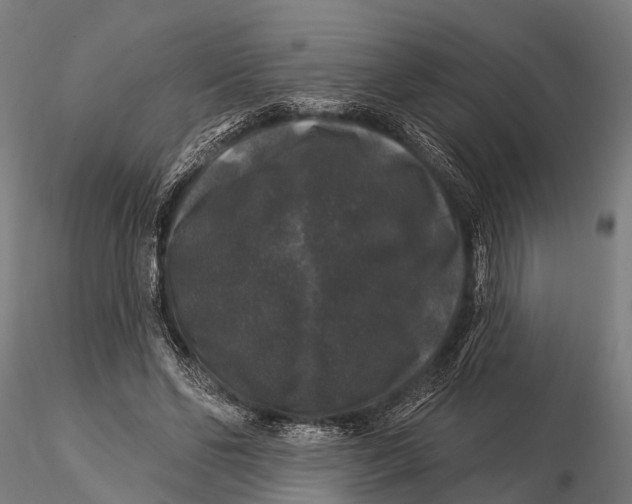 X0000116010494200912101345