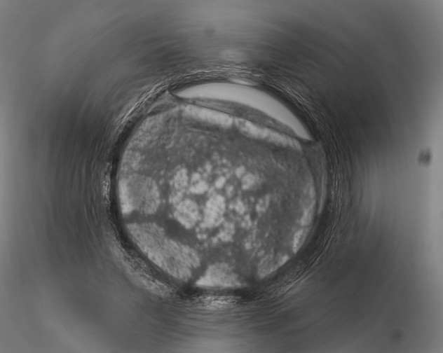 X0000116010495200912101345