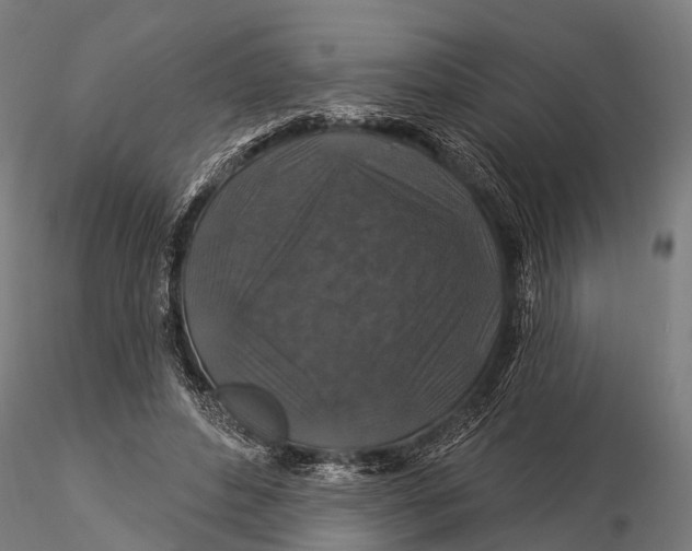 X0000116010496200912101345