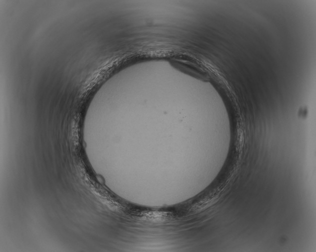 X0000116010497200912101345