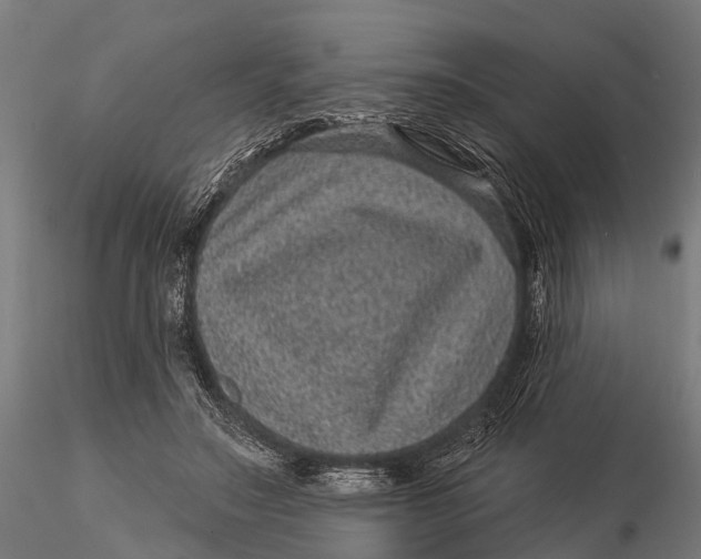 X0000116010499200912101345