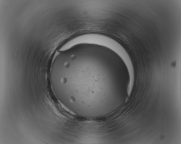 X0000116010500200912101345