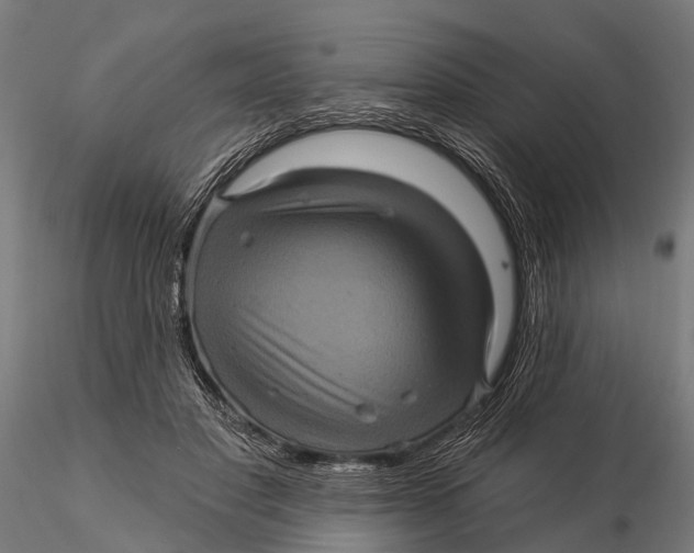 X0000116010501200912101345