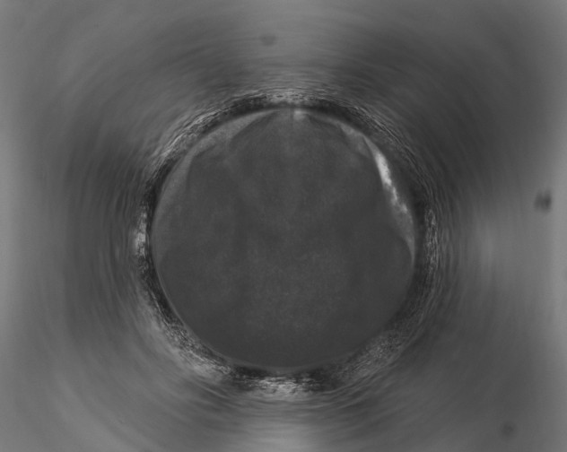 X0000116010502200912101345