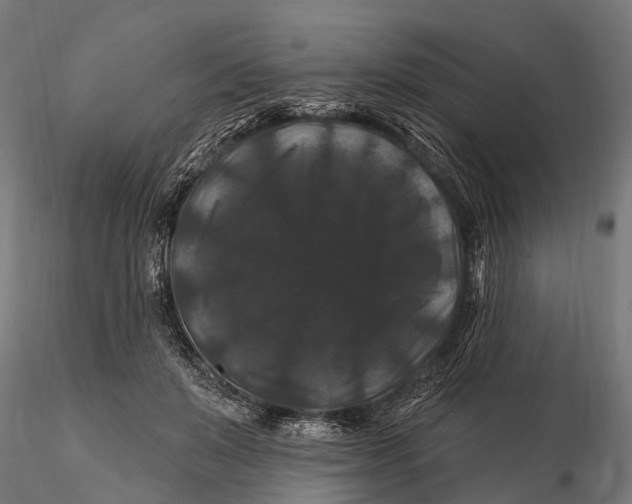 X0000116010503200912101345