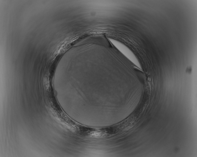 X0000116010504200912101344