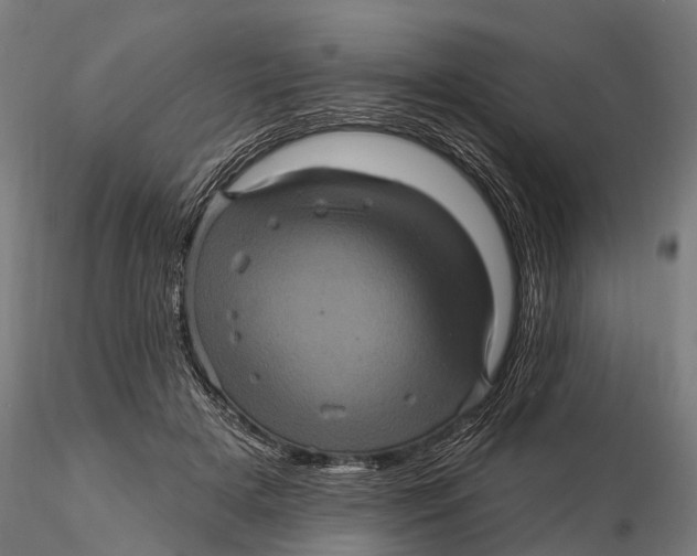 X0000116010505200912101344