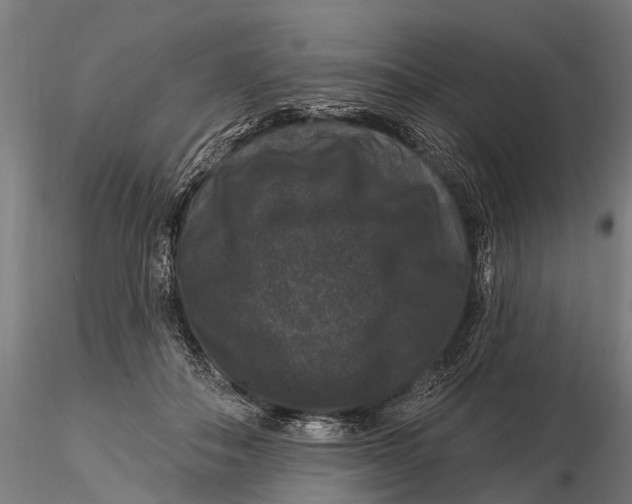 X0000116010506200912101344