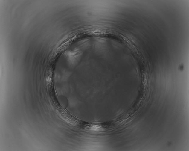 X0000116010507200912101344