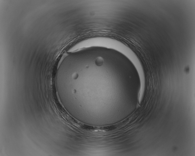 X0000116010508200912101344