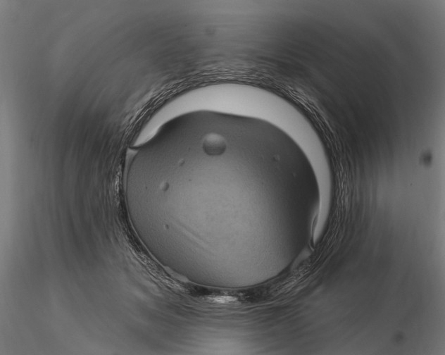 X0000116010509200912101344