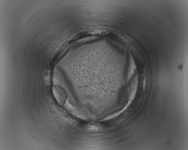 X0000116010510200912101344