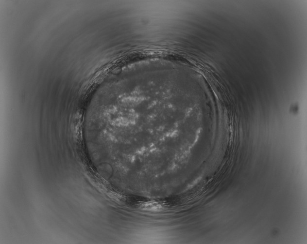 X0000116010511200912101344