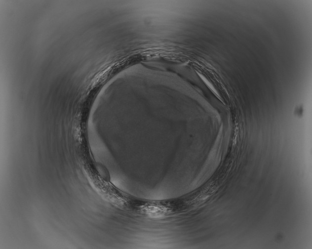 X0000116010512200912101344