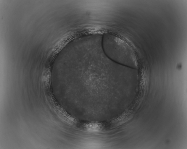 X0000116010513200912101344