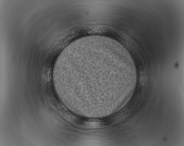 X0000116010514200912101344