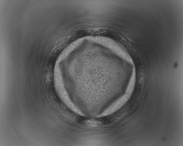 X0000116010515200912101344