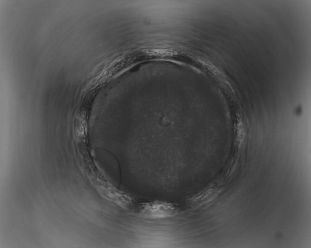 X0000116010517200912101344