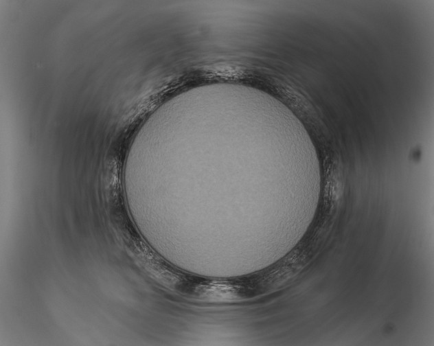 X0000116010518200912101344