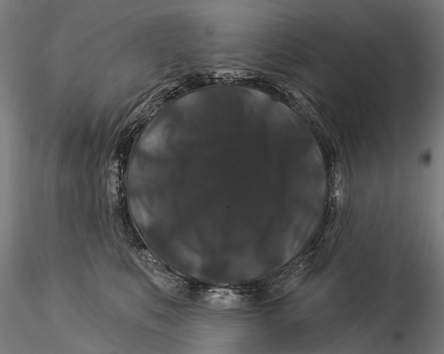 X0000116010519200912101344