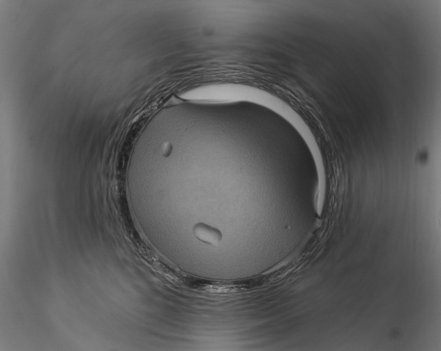 X0000116010520200912101344