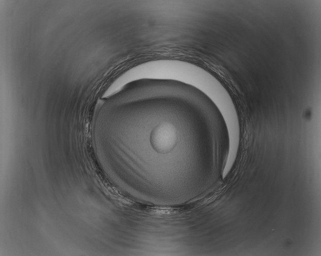 X0000116010521200912101344