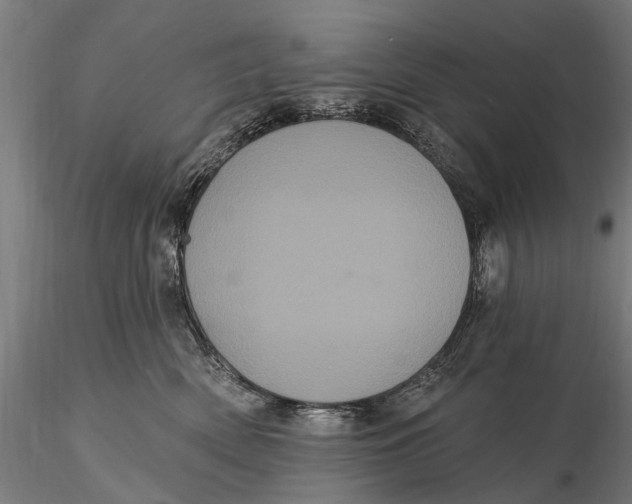 X0000116010522200912101344