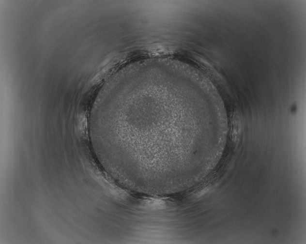 X0000116010523200912101344