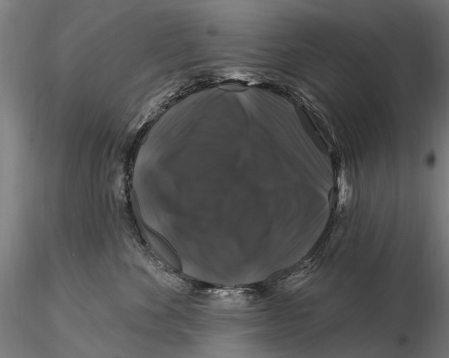 X0000116010524200912101344