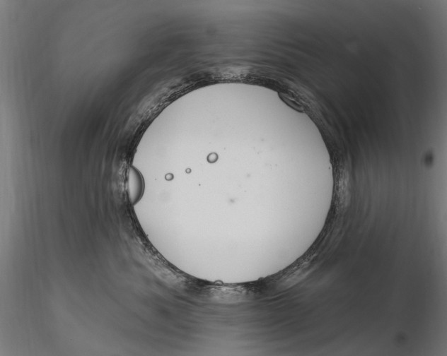 X0000116010525200912101344