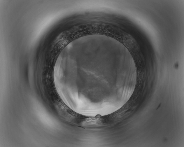 X0000116010526200912101344