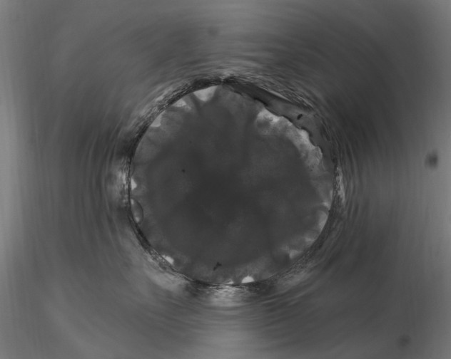 X0000116010527200912101344