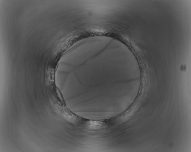 X0000116010528200912101344