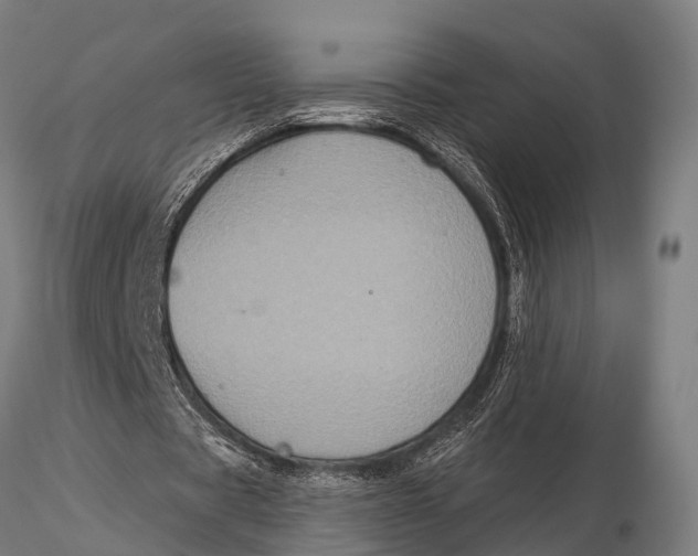 X0000116010529200912101343