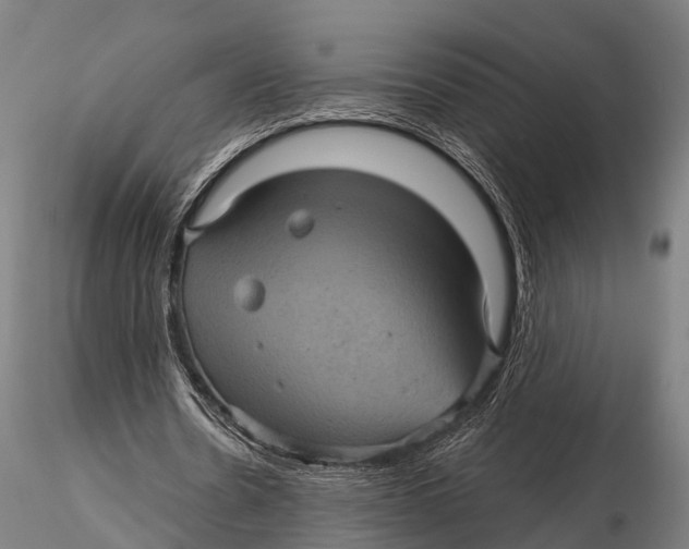 X0000116010530200912101343