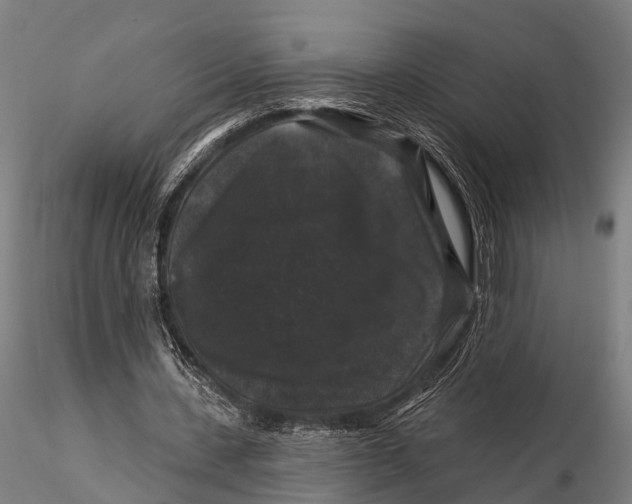 X0000116010531200912101343