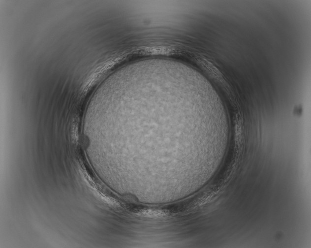 X0000116010537200912101344