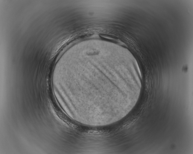 X0000116010538200912101344