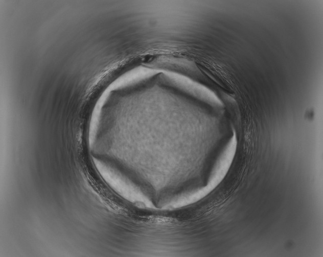 X0000116010539200912101344