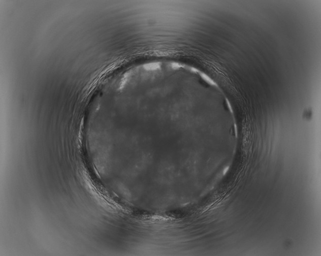 X0000116010542200912101344