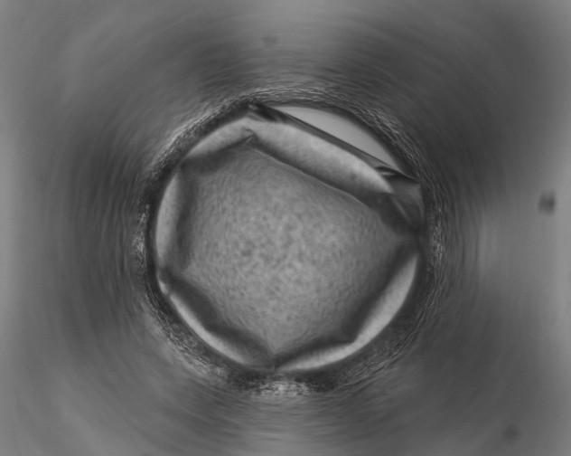 X0000116010543200912101344