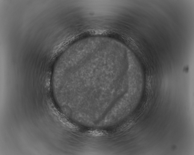 X0000116010545200912101344