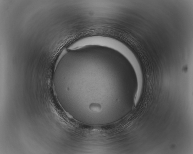 X0000116010546200912101344