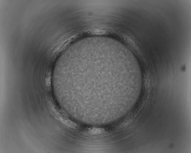 X0000116010549200912101344