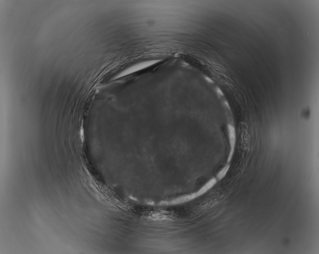 X0000116010550200912101344