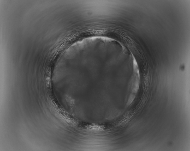 X0000116010553200912101344