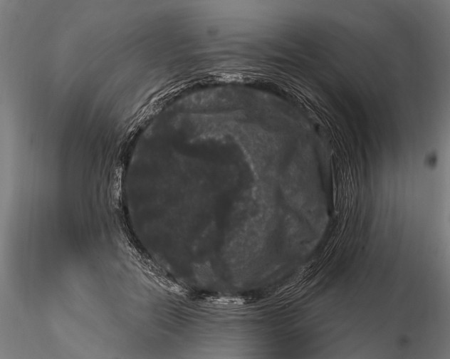 X0000116010554200912101344