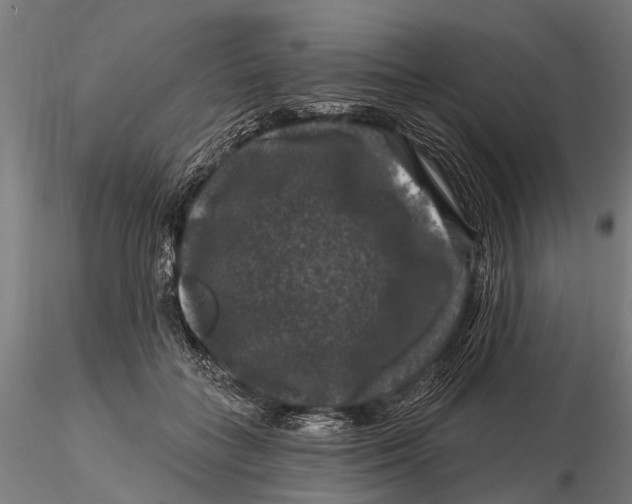 X0000116010555200912101344