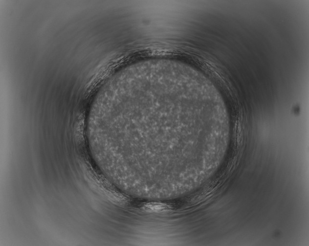 X0000116010557200912101344