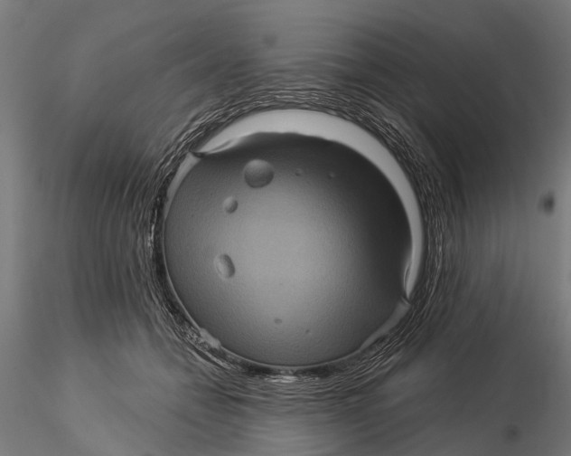 X0000116010558200912101344